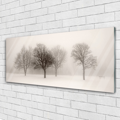 akrylový obraz Sníh Stromy Krajina