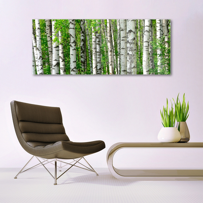 akrylový obraz Les Rostlina Příroda