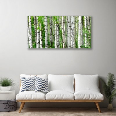 akrylový obraz Les Rostlina Příroda