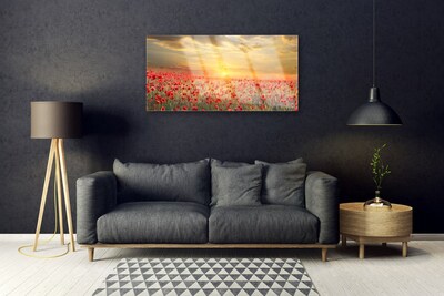 akrylový obraz Slunce Louka Mák Květiny
