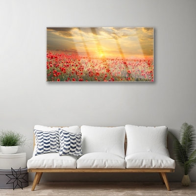 akrylový obraz Slunce Louka Mák Květiny