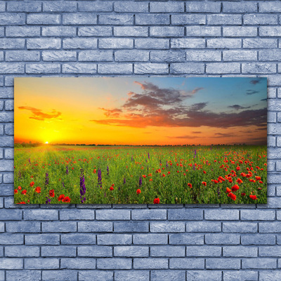 akrylový obraz Slunce Louka Květiny Příroda