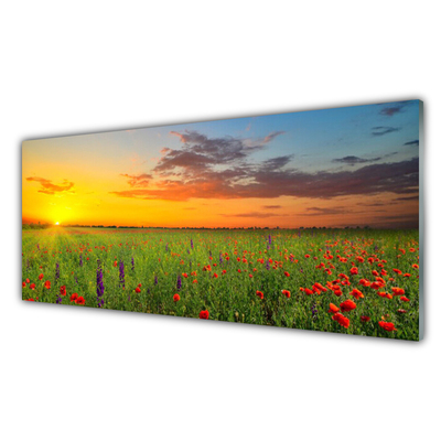 akrylový obraz Slunce Louka Květiny Příroda