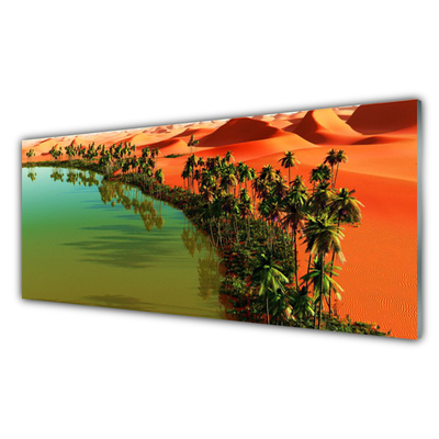 akrylový obraz Jezero Poušť Palmy