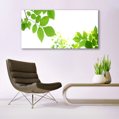 akrylový obraz Plátky Rostlina Příroda