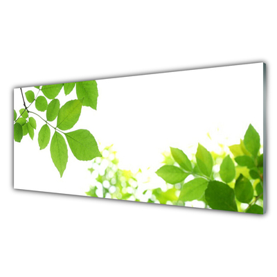 akrylový obraz Plátky Rostlina Příroda