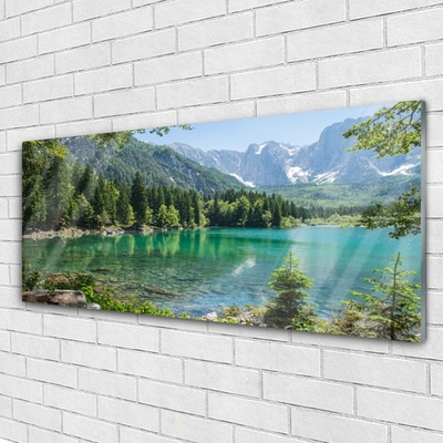 akrylový obraz Hory Jezero Les Příroda