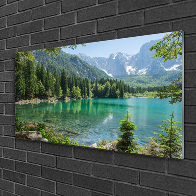 akrylový obraz Hory Jezero Les Příroda