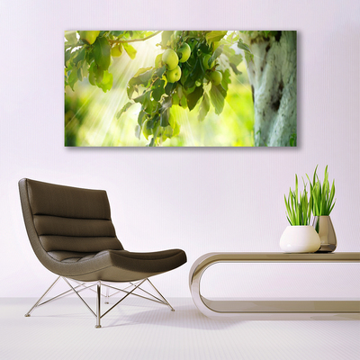 akrylový obraz Jablka Větev Strom Příroda