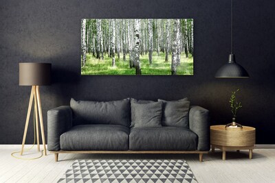 akrylový obraz Les Tráva Rostlina Příroda