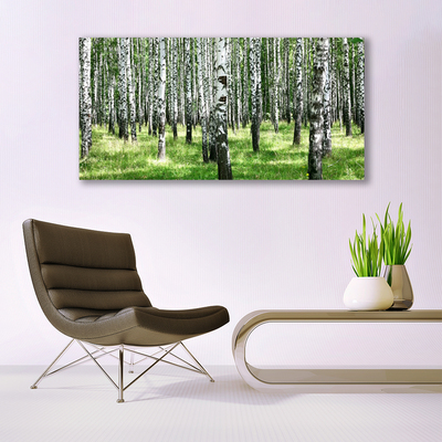 akrylový obraz Les Tráva Rostlina Příroda