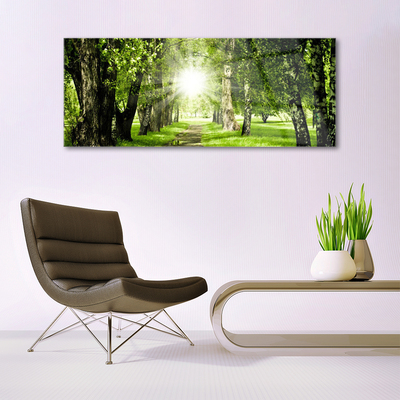 akrylový obraz Les Slunce Stezka Příroda