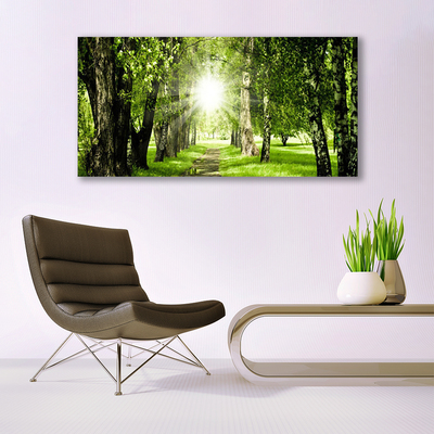 akrylový obraz Les Slunce Stezka Příroda