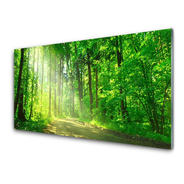 akrylový obraz Les Cestička Stromy Příroda
