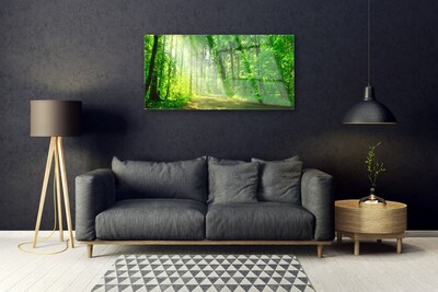 akrylový obraz Les Cestička Stromy Příroda