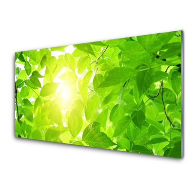 akrylový obraz Listy Příroda Slunce Rostlina