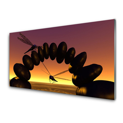 akrylový obraz Vážky Kameny Umění