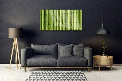akrylový obraz Bambus Rostlina Příroda