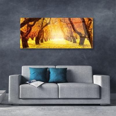 akrylový obraz Les Stezka Stromy Příroda