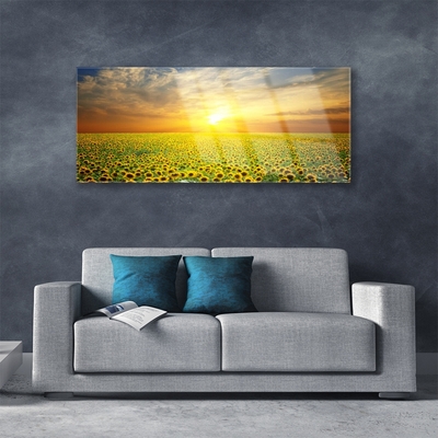 akrylový obraz Slunce Louka Slunečnice