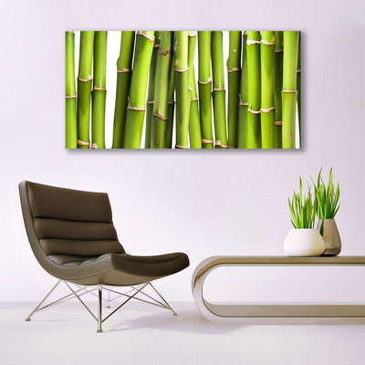 akrylový obraz Bambus Rostlina Příroda