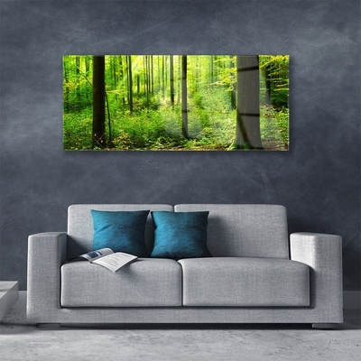 akrylový obraz Les Zeleň Stromy Příroda