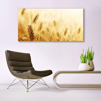 akrylový obraz Pšenice Rostlina Příroda