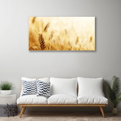 akrylový obraz Pšenice Rostlina Příroda