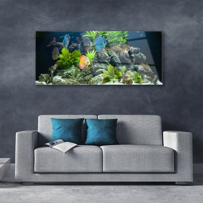 akrylový obraz Ryba Kameny Listy Příroda