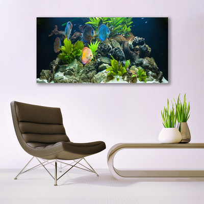 akrylový obraz Ryba Kameny Listy Příroda