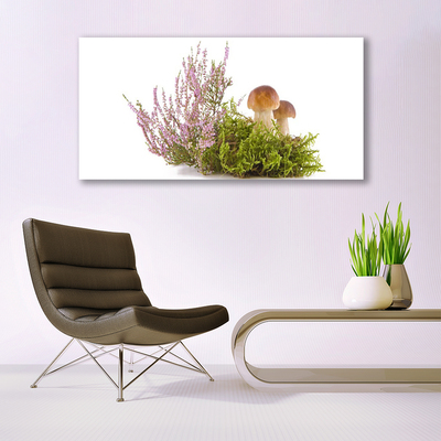 akrylový obraz Houby Rostlina Příroda
