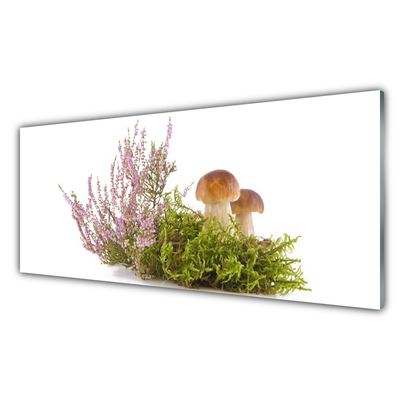 akrylový obraz Houby Rostlina Příroda