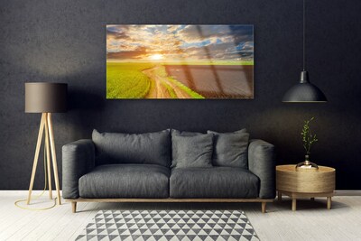 akrylový obraz Pole Nebe Slunce Příroda