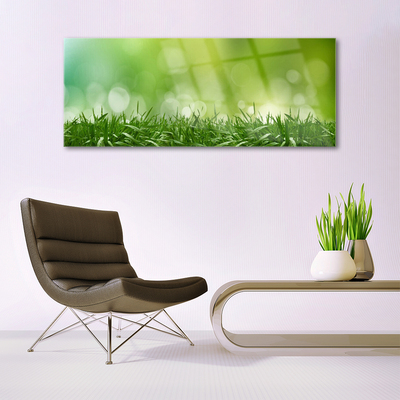 akrylový obraz Tráva Rostlina Příroda