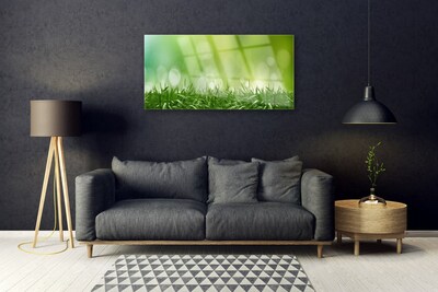 akrylový obraz Tráva Rostlina Příroda