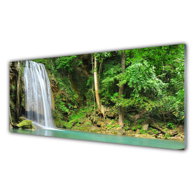 akrylový obraz Vodopád Les Příroda