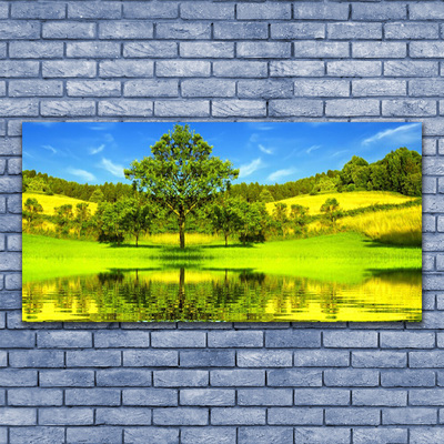 akrylový obraz Louka Strom Příroda