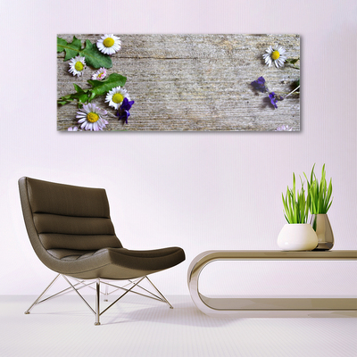 akrylový obraz Sedmikráska Rostlina Příroda