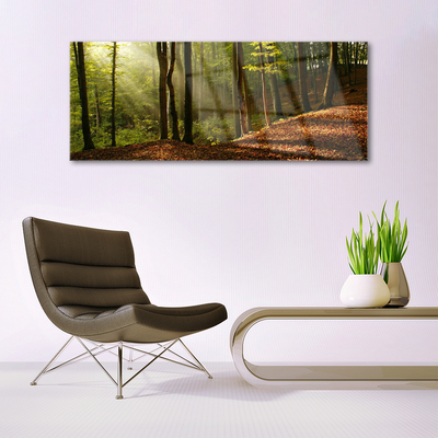 akrylový obraz Les Stromy Příroda
