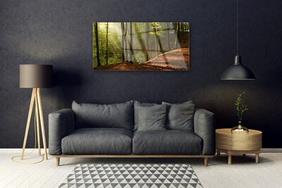 akrylový obraz Les Stromy Příroda