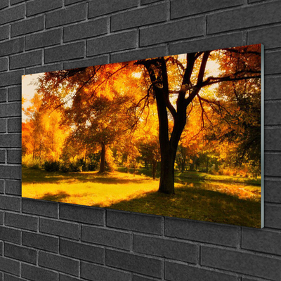 akrylový obraz Stromy Podzim Příroda