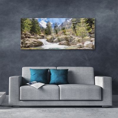 akrylový obraz Hora Les Kameny Řeka