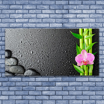 akrylový obraz Bambus Stonek Květ Rostlina
