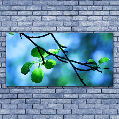 akrylový obraz Větev Listy Rostlina Příroda