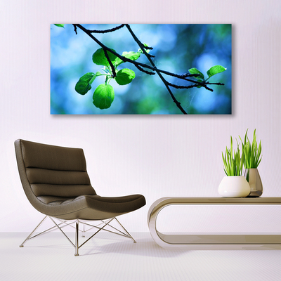 akrylový obraz Větev Listy Rostlina Příroda