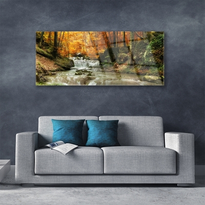 Plexisklo-obraz Vodopád Les Příroda