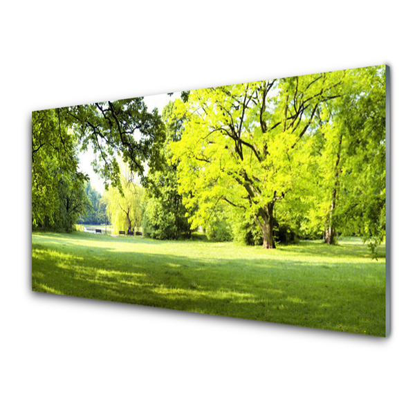 Plexisklo-obraz Tráva Stromy Park Příroda