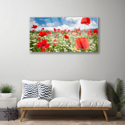 Plexisklo-obraz Louka Květiny Příroda