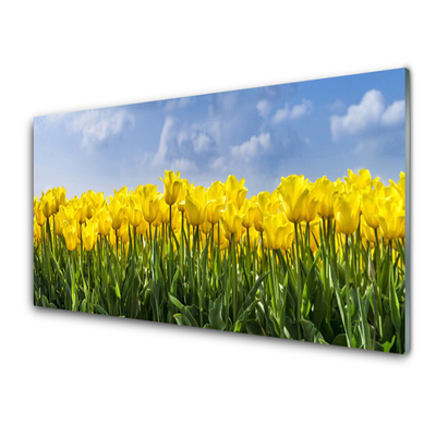 Plexisklo-obraz Tulipány Květiny Rostlina