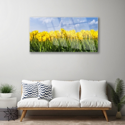 Plexisklo-obraz Tulipány Květiny Rostlina
